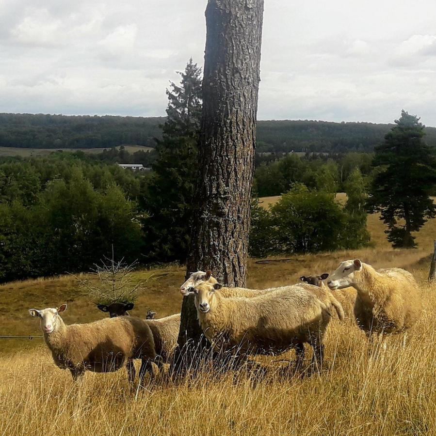 Brosarp Kallagarden Stora Gardslagenheten Zewnętrze zdjęcie