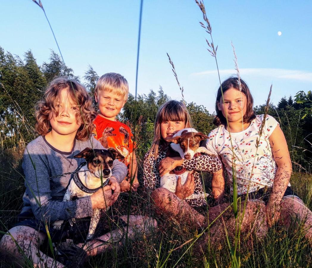 Brosarp Kallagarden Stora Gardslagenheten Zewnętrze zdjęcie